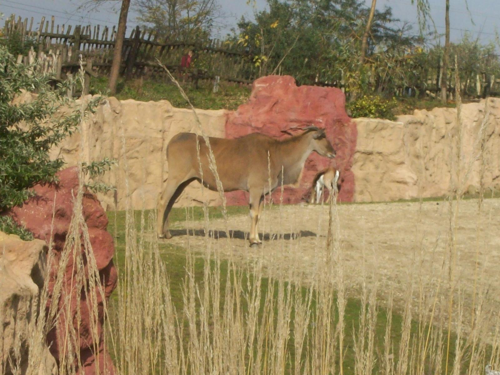 Zoom 18.10.2008-078.jpg